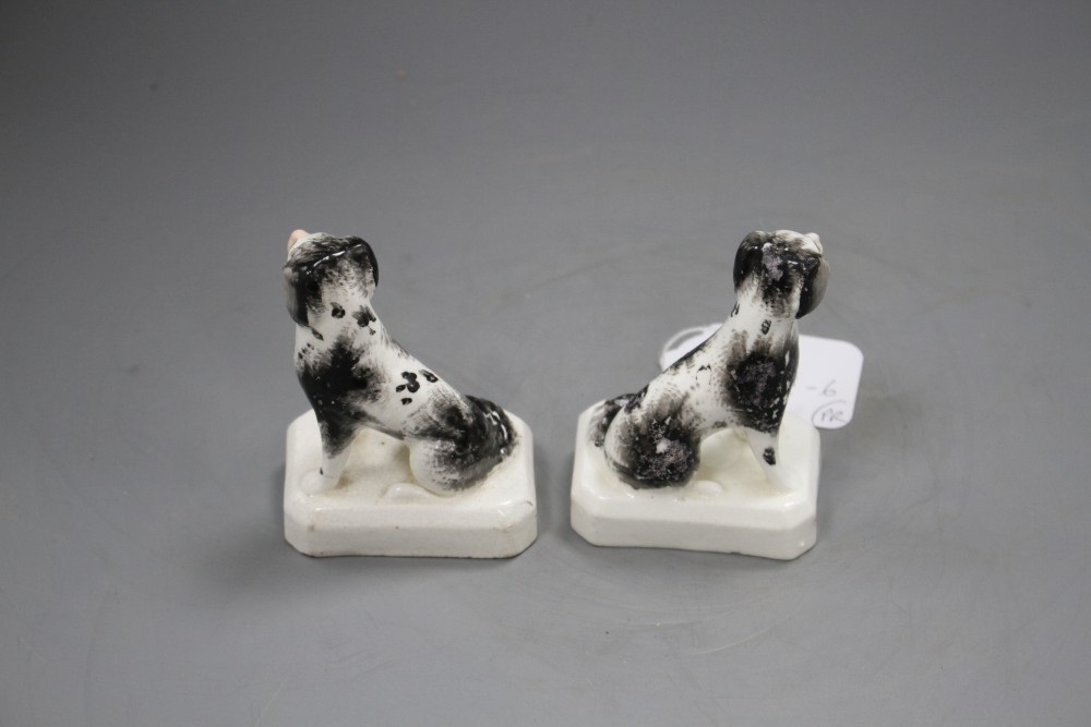 A pair of Staffordshire porcelain figures of seated King Charles spaniels, c.1830-50, H. 8.5cm